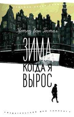Читайте книги онлайн на Bookidrom.ru! Бесплатные книги в одном клике Петер Гестел - Зима, когда я вырос