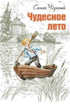 Читайте книги онлайн на Bookidrom.ru! Бесплатные книги в одном клике Саша Чёрный - Чудесное лето