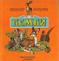 Читайте книги онлайн на Bookidrom.ru! Бесплатные книги в одном клике Феликс Зальтен - Бемби