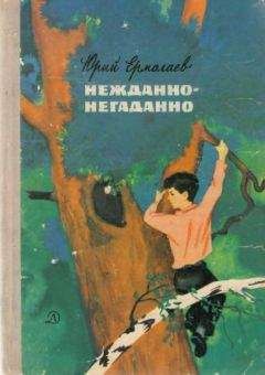 Читайте книги онлайн на Bookidrom.ru! Бесплатные книги в одном клике Юрий Ермолаев - Нежданно-негаданно