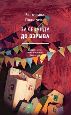 Читайте книги онлайн на Bookidrom.ru! Бесплатные книги в одном клике Екатерина Польгуева - За секунду до взрыва