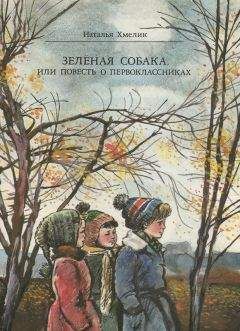 Читайте книги онлайн на Bookidrom.ru! Бесплатные книги в одном клике Наталья Хмелик - Зеленая собака, или Повесть о первоклассниках