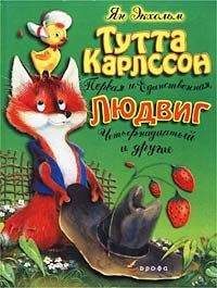 Читайте книги онлайн на Bookidrom.ru! Бесплатные книги в одном клике Ян Экхольм - Тутта Карлссон Первая и единственная, Людвиг Четырнадцатый и др.