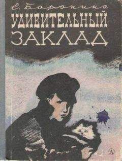 Читайте книги онлайн на Bookidrom.ru! Бесплатные книги в одном клике Екатерина Боронина - Удивительный заклад