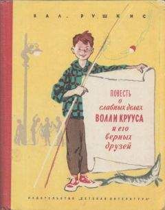 Читайте книги онлайн на Bookidrom.ru! Бесплатные книги в одном клике Валентин Рушкис - Повесть о славных делах Волли Крууса и его верных друзей
