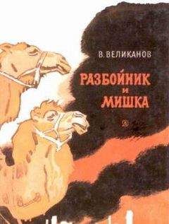 Читайте книги онлайн на Bookidrom.ru! Бесплатные книги в одном клике Василий Великанов - Разбойник и Мишка