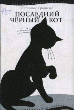 Читайте книги онлайн на Bookidrom.ru! Бесплатные книги в одном клике Евгениос Тривизас - Последний чёрный кот