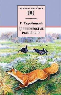 Читайте книги онлайн на Bookidrom.ru! Бесплатные книги в одном клике Георгий Скребицкий - Длиннохвостые разбойники (сборник)