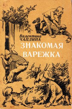 Читайте книги онлайн на Bookidrom.ru! Бесплатные книги в одном клике Валентина Чаплина - Знакомая варежка (Повести и сказки)