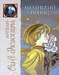 Читайте книги онлайн на Bookidrom.ru! Бесплатные книги в одном клике Антуан Экзюпери - Маленький Принц