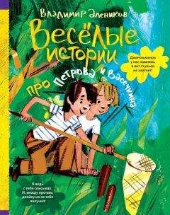 Читайте книги онлайн на Bookidrom.ru! Бесплатные книги в одном клике Владимир Алеников - Веселые истории про Петрова и Васечкина