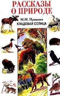 Читайте книги онлайн на Bookidrom.ru! Бесплатные книги в одном клике Михаил Пришвин - Кладовая солнца. Рассказы о природе