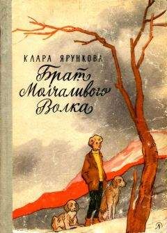 Читайте книги онлайн на Bookidrom.ru! Бесплатные книги в одном клике Клара Ярункова - Брат Молчаливого Волка