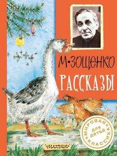 Читайте книги онлайн на Bookidrom.ru! Бесплатные книги в одном клике Михаил Зощенко - Рассказы