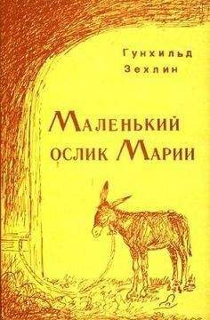 Читайте книги онлайн на Bookidrom.ru! Бесплатные книги в одном клике Гунхильд Зехлин - Маленький ослик Марии