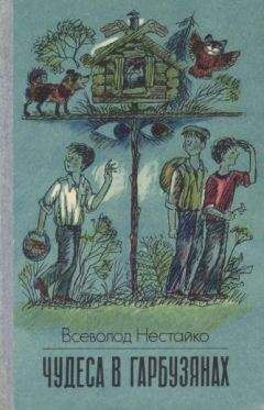 Читайте книги онлайн на Bookidrom.ru! Бесплатные книги в одном клике Всеволод Нестайко - Чудеса в Гарбузянах