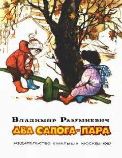 Читайте книги онлайн на Bookidrom.ru! Бесплатные книги в одном клике Владимир Разумневич - Два сапога — пара