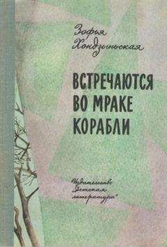 Читайте книги онлайн на Bookidrom.ru! Бесплатные книги в одном клике Зофья Хондзыньская - Встречаются во мраке корабли