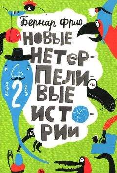 Читайте книги онлайн на Bookidrom.ru! Бесплатные книги в одном клике Бернар Фрио - Новые нетерпеливые истории