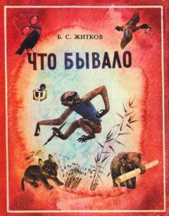 Читайте книги онлайн на Bookidrom.ru! Бесплатные книги в одном клике Борис Житков - Что бывало