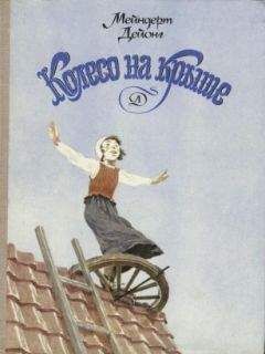 Читайте книги онлайн на Bookidrom.ru! Бесплатные книги в одном клике Мейндерт Дейонг - Колесо на крыше