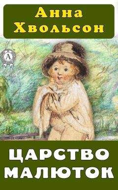 Читайте книги онлайн на Bookidrom.ru! Бесплатные книги в одном клике Анна Хвольсон - Царство малюток