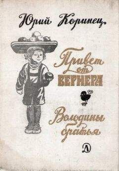 Читайте книги онлайн на Bookidrom.ru! Бесплатные книги в одном клике Юрий Коринец - Володины братья