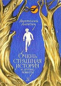 Читайте книги онлайн на Bookidrom.ru! Бесплатные книги в одном клике Анатолий Алексин - Дима, Тима и так далее...