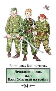 Читайте книги онлайн на Bookidrom.ru! Бесплатные книги в одном клике Вероника Кунгурцева - Дроздово поле, или Ваня Житный на войне