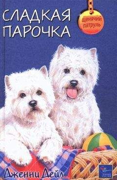Читайте книги онлайн на Bookidrom.ru! Бесплатные книги в одном клике Дженни Дейл - Сладкая парочка