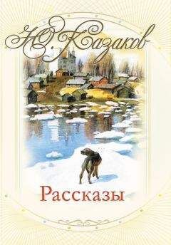 Читайте книги онлайн на Bookidrom.ru! Бесплатные книги в одном клике Юрий Казаков - Рассказы