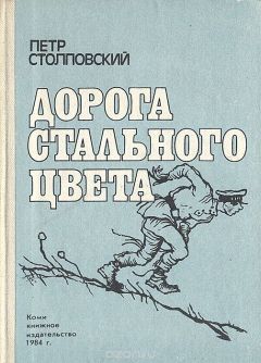 Читайте книги онлайн на Bookidrom.ru! Бесплатные книги в одном клике Пётр Столповский - Дорога стального цвета