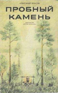 Читайте книги онлайн на Bookidrom.ru! Бесплатные книги в одном клике Александр Власов - Пробный камень