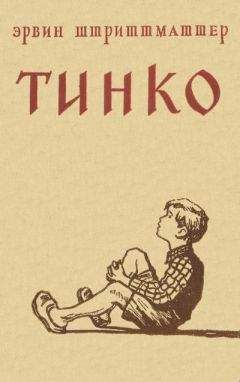Читайте книги онлайн на Bookidrom.ru! Бесплатные книги в одном клике Эрвин Штриттматтер - Тинко