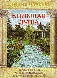 Читайте книги онлайн на Bookidrom.ru! Бесплатные книги в одном клике Лидия Чарская - Большая душа