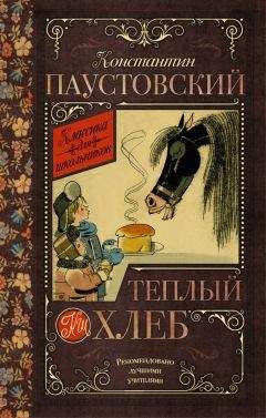 Читайте книги онлайн на Bookidrom.ru! Бесплатные книги в одном клике Константин Паустовский - Теплый хлеб (сборник)