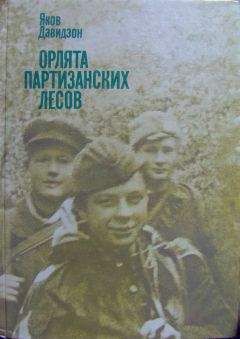 Читайте книги онлайн на Bookidrom.ru! Бесплатные книги в одном клике Яков Давидзон - Орлята партизанских лесов