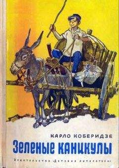 Читайте книги онлайн на Bookidrom.ru! Бесплатные книги в одном клике Карло Коберидзе - Зеленые каникулы