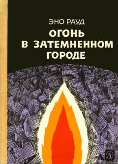 Читайте книги онлайн на Bookidrom.ru! Бесплатные книги в одном клике Эно Рауд - Огонь в затемненном городе