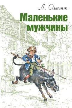 Читайте книги онлайн на Bookidrom.ru! Бесплатные книги в одном клике Луиза Мэй Олкотт - Маленькие мужчины