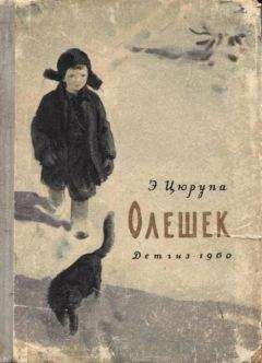 Читайте книги онлайн на Bookidrom.ru! Бесплатные книги в одном клике Эсфирь Цюрупа - Олешек