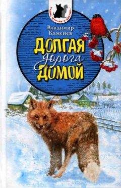 Читайте книги онлайн на Bookidrom.ru! Бесплатные книги в одном клике Владимир Каменев - Долгая дорога домой