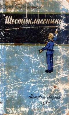 Читайте книги онлайн на Bookidrom.ru! Бесплатные книги в одном клике Юрий Сальников - Шестиклассники