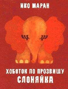 Читайте книги онлайн на Bookidrom.ru! Бесплатные книги в одном клике Ико Маран - Хоботок по прозвищу Слоняйка