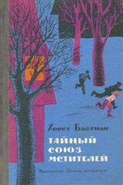 Читайте книги онлайн на Bookidrom.ru! Бесплатные книги в одном клике Хорст Бастиан - Тайный Союз мстителей