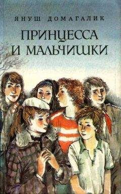 Читайте книги онлайн на Bookidrom.ru! Бесплатные книги в одном клике Януш Домагалик - Принцесса и мальчишки