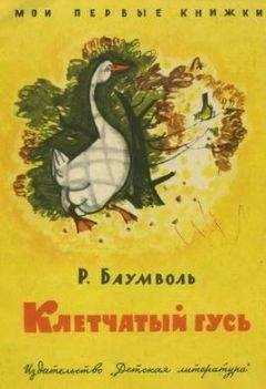 Читайте книги онлайн на Bookidrom.ru! Бесплатные книги в одном клике Рахиль Баумволь - Клетчатый гусь