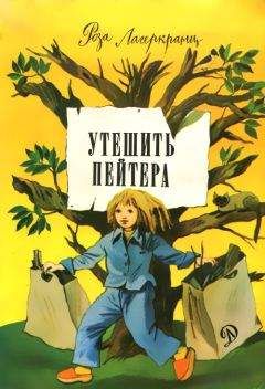 Читайте книги онлайн на Bookidrom.ru! Бесплатные книги в одном клике Роза Лагеркранц - Утешить Пейтера