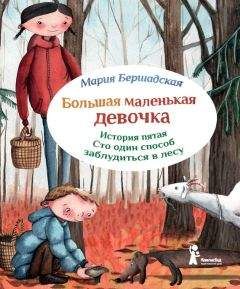 Читайте книги онлайн на Bookidrom.ru! Бесплатные книги в одном клике Мария Бершадская - Сто один способ заблудиться в лесу