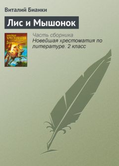 Читайте книги онлайн на Bookidrom.ru! Бесплатные книги в одном клике Виталий Бианки - Лис и Мышонок